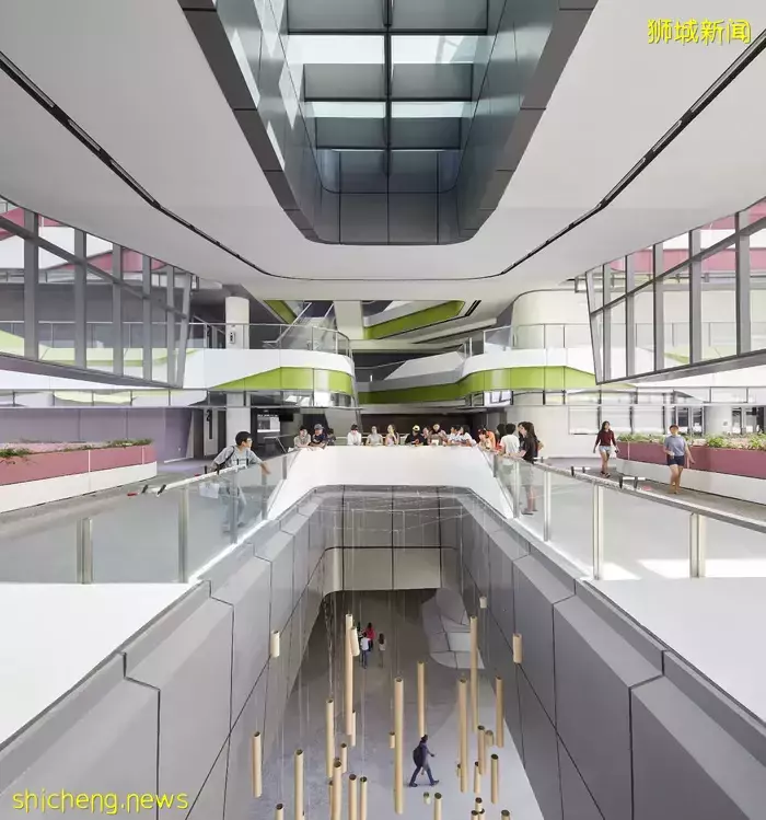 新加坡排位老3 的科大，竟和麻省理工、加州伯克利、浙江大学有合作专业