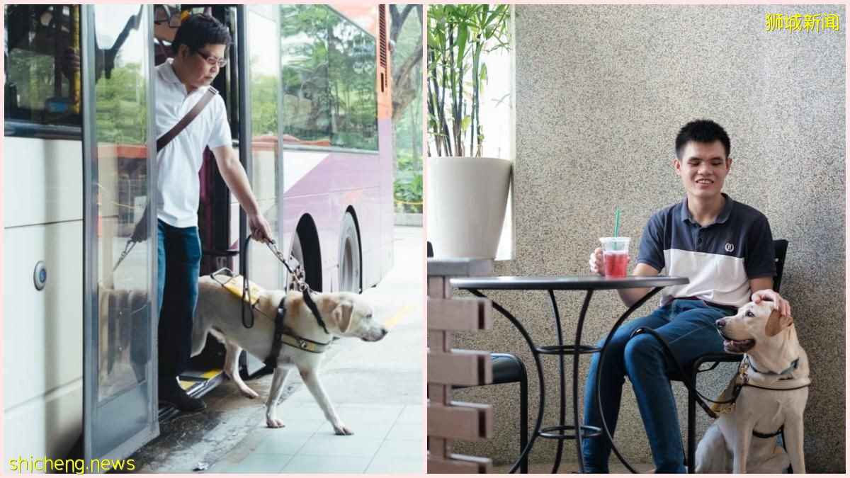 本地許多餐飲場所, 交通和私人計程車還是不能接受“導盲犬”