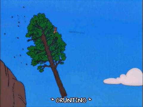 50多年老树轰然倒地,被毁车辆面目全非