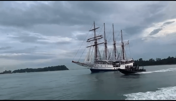 刺激！新加坡最酷的海上运动，1小时乘海军飞艇游5个岛，感觉爽飞了