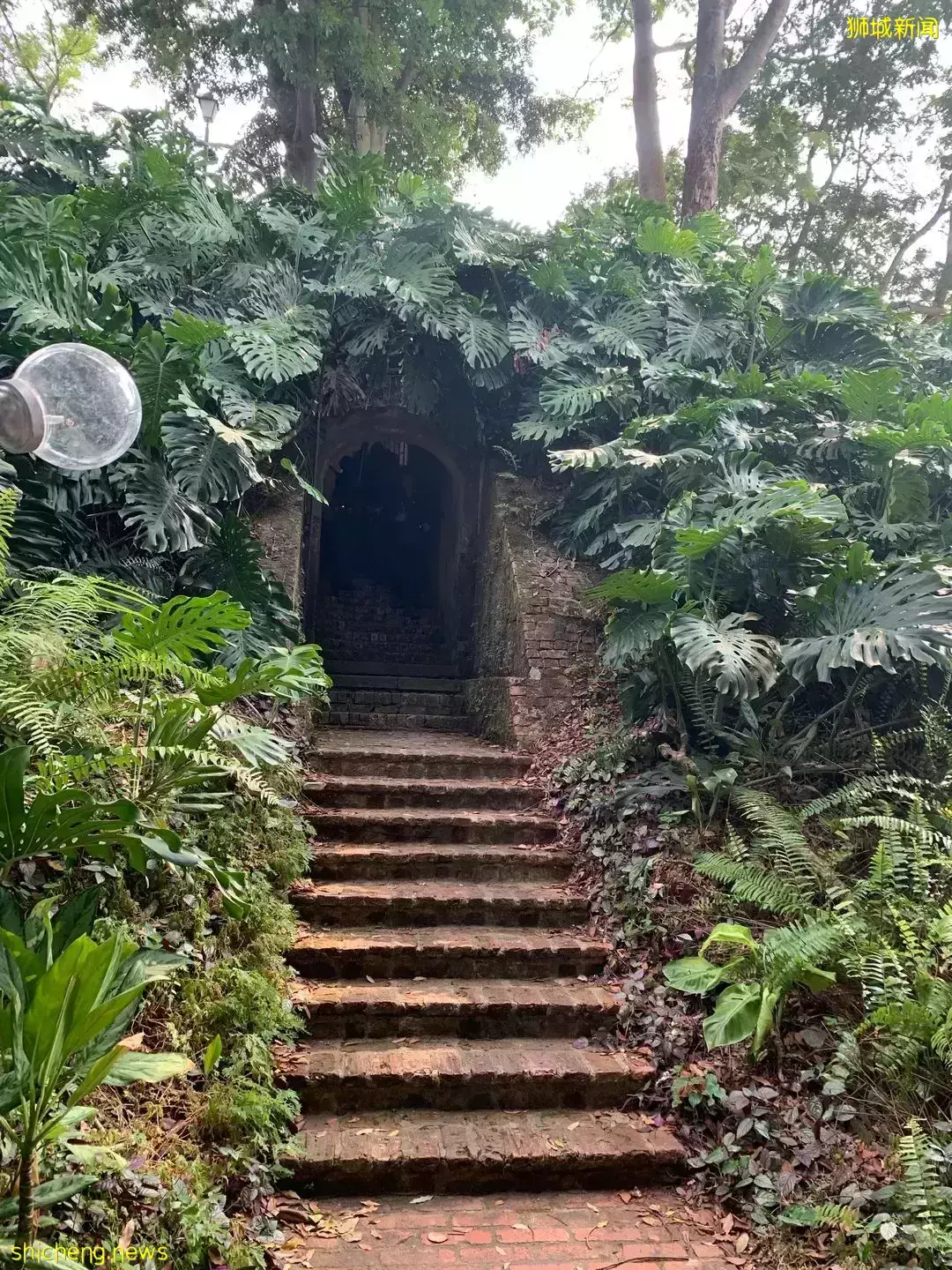 INS最火爆的新加坡公園,竟然還藏著一個超好玩的兒童遊樂場