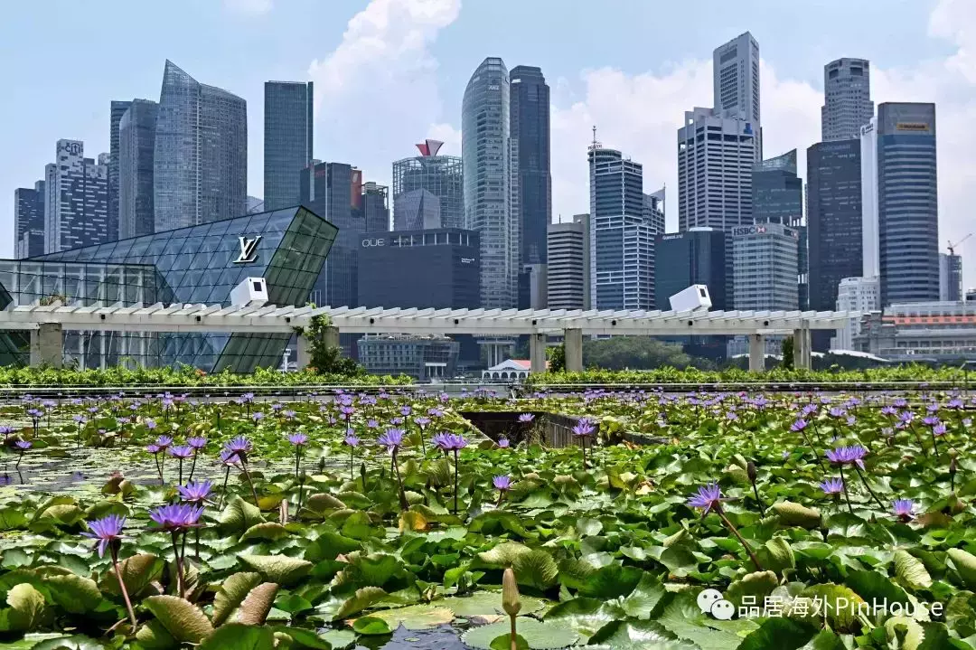 低齡留學 爲何家長們都將目光聚焦新加坡，5大原因告訴你