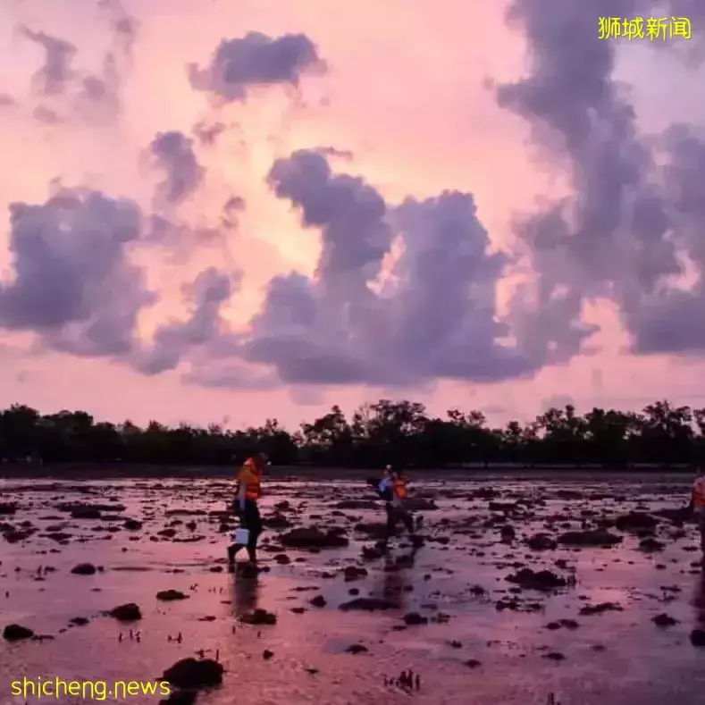 夏日必備 新加坡周邊的海島特輯