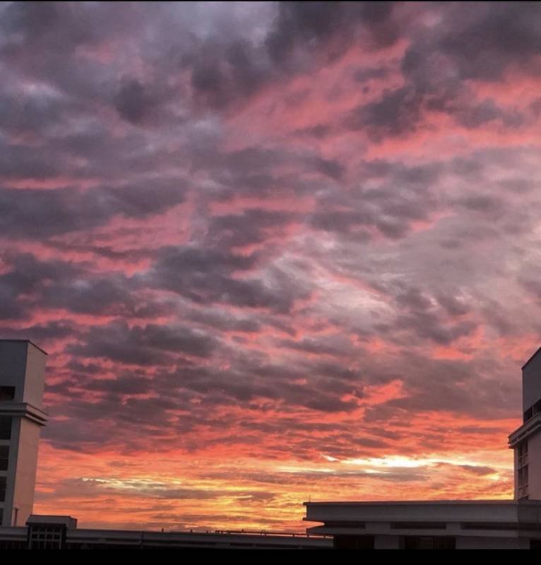 疫情過後，新加坡更讓全世界羨慕