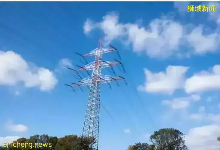 新加坡吃鸡难,欲从印尼进口鸡肉。为稳定能源和电力供应!新加坡延长保障措施