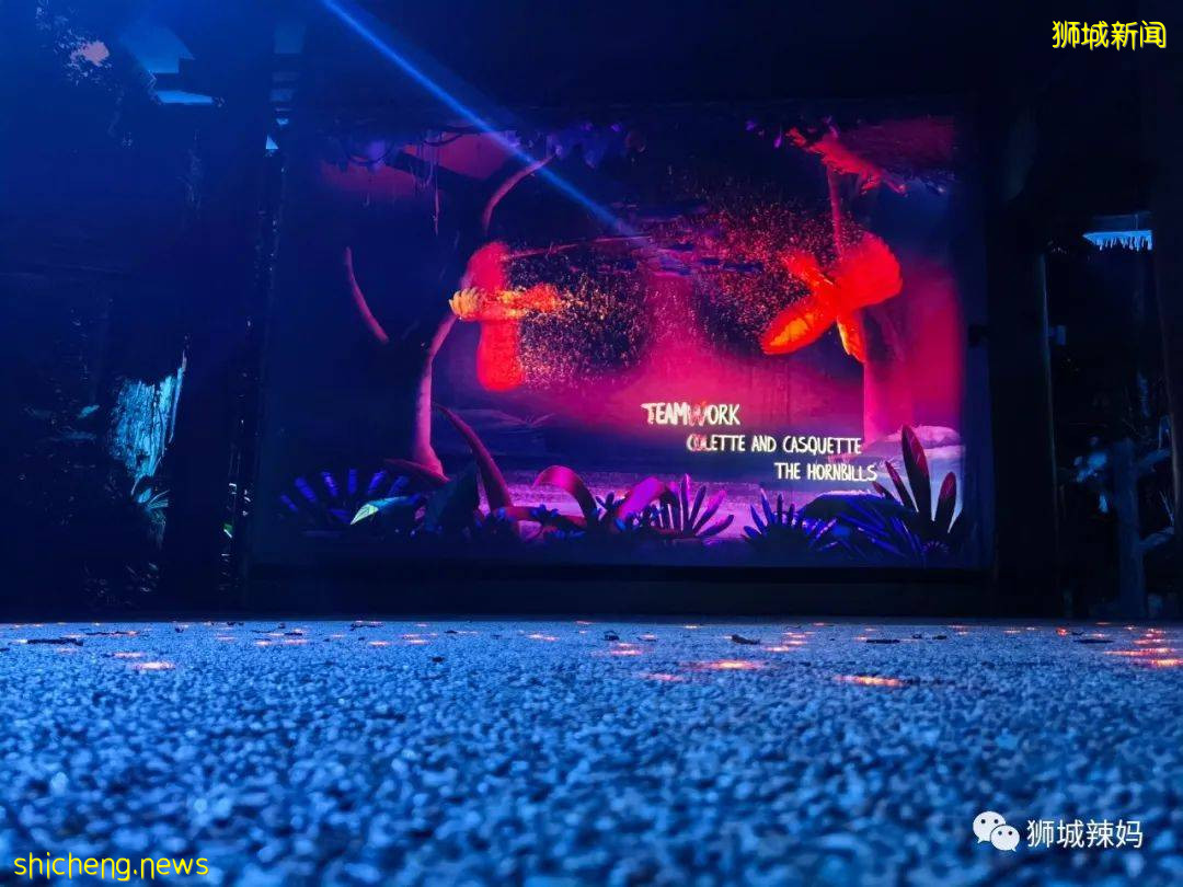 低至S$8！就3天！新加坡動物園“幻光雨林之夜”強勢回歸，亞洲第一夜遊體驗