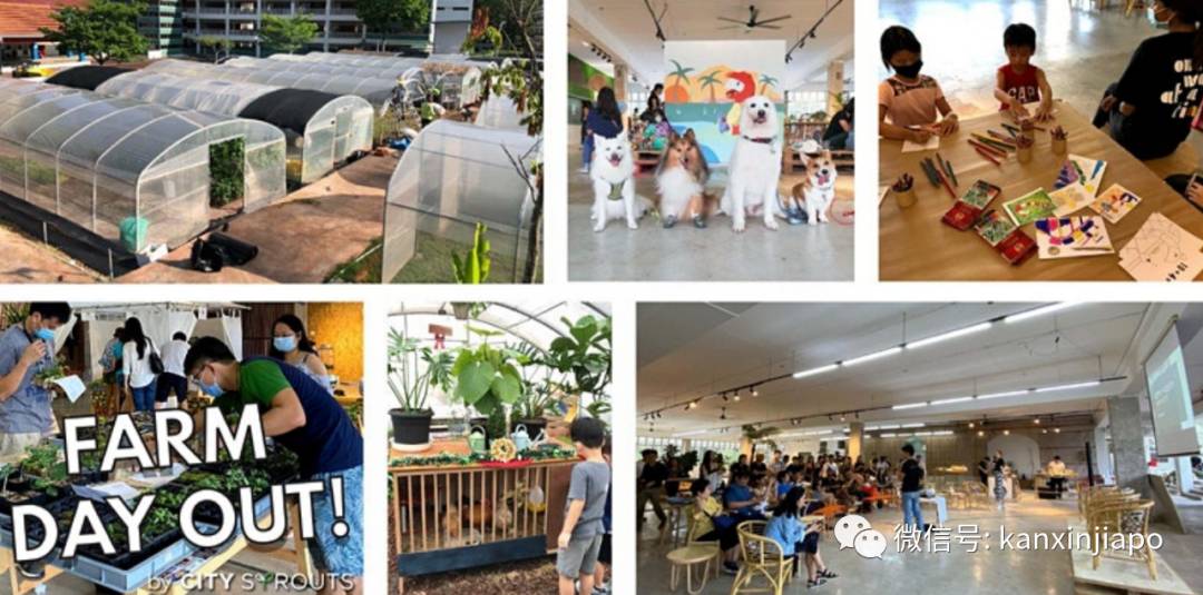 新加坡爲什麽要在今天放假?竟有這麽多小秘密