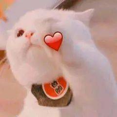 【每周折扣】12月給自己放一個小假吧，去享受美食和購物