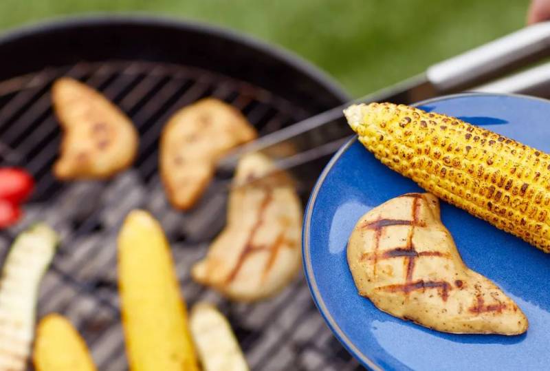 全球首例培植人造雞肉塊，獲准在新加坡銷售！肉眼難辨的未來食品，你能接受嗎