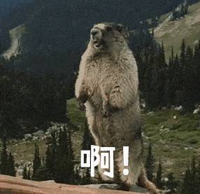 判了!新加坡参与多人运动的男子,被判坐牢近18年,鞭14下