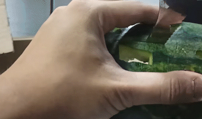 最奇葩的西瓜、榴莲游戏机!新加坡男子新发明惊艳老外