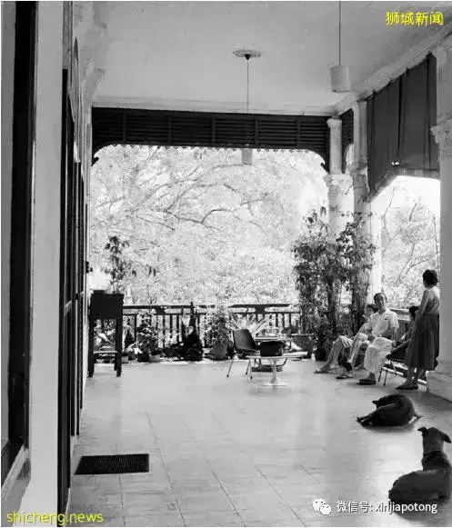 美雅豪苑 東海岸永久地契 海景房 傳統富人區 著名發展商 將來地鐵站