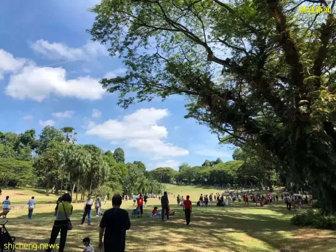 開搶!新加坡總統府免費開放,每人有5張票!附遊園攻略