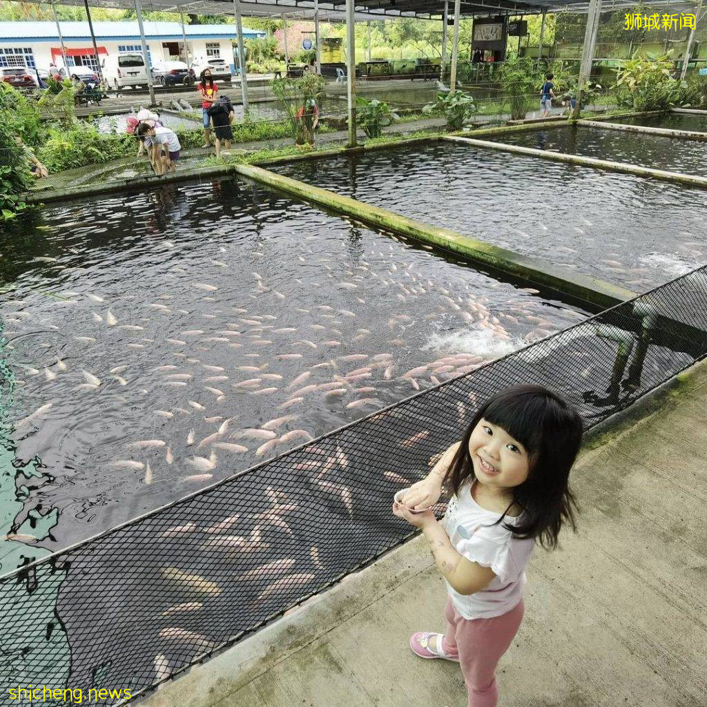 攻略收好、出發開啓親近動物之旅🦩從白天玩到晚上、10大景點近距離接觸小動物