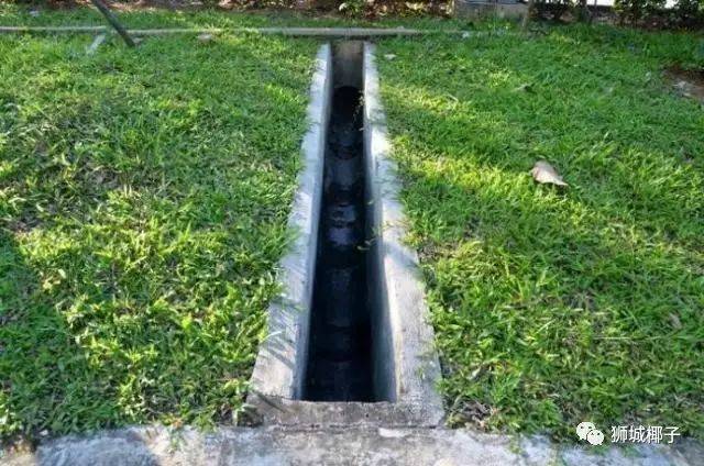 昨天!新加坡遭40年来最强暴雨袭击,全岛多处被洪水淹没,驾车犹如水中行船