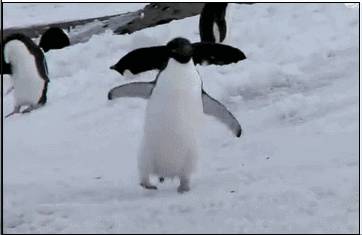 新加坡連續漲價10個月!網友:吃不起菜,買不起房