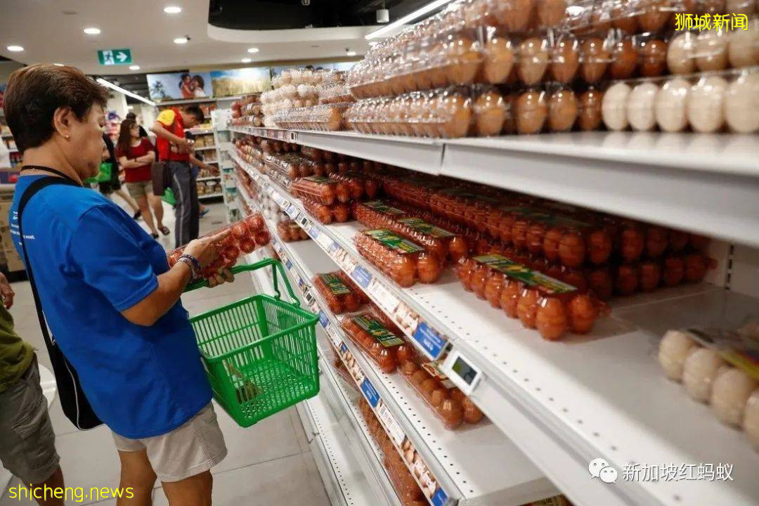 新加坡清洁工从2023年起连续六年加薪，增幅只够糊口不足以养家