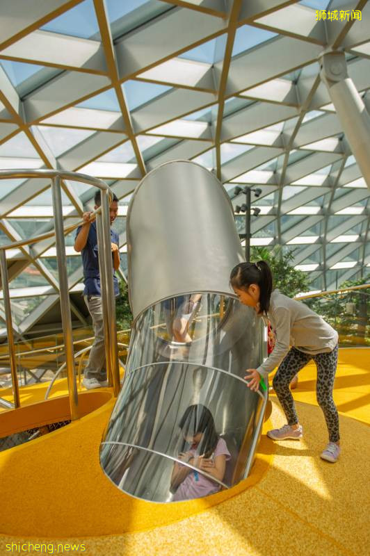 Jewel限时优惠,凭当日消费小票,可兑换双人Canopy Park免费门票!【有效期至9月30日】