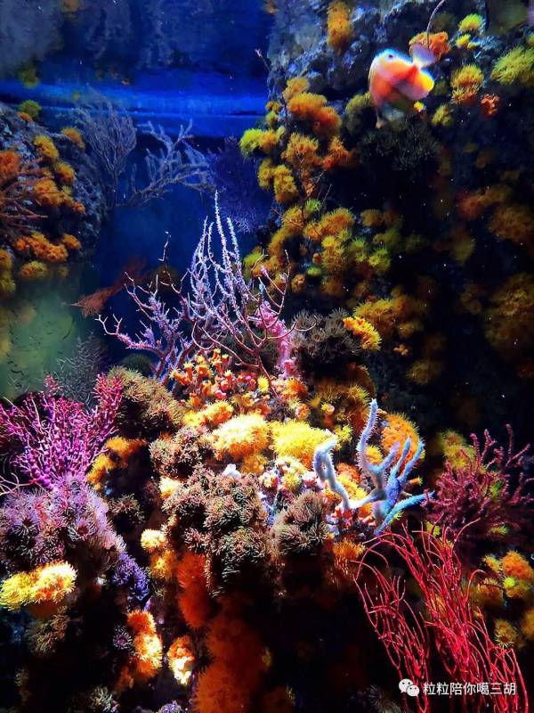 【遛完娃儿被娃遛】新加坡四天亲子游路线图