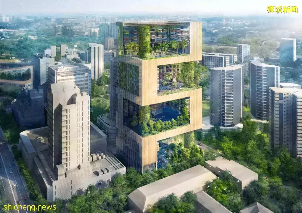 新加坡全面解封，莱佛士梅开二度、艾迪逊首秀，太让人期待