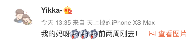 新加坡“后花园”五星级度假村木桥坍塌，至少26人坠海！