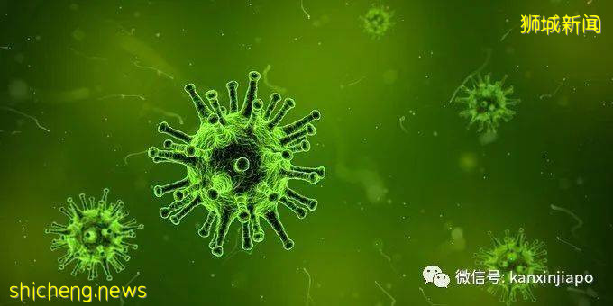 新加坡发现5种抗体来对抗新冠病毒