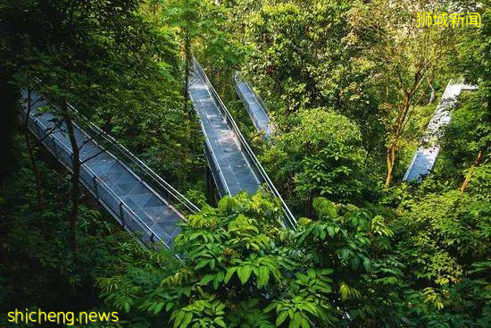 “花園城市”背後的故事，看完才知道新加坡這個小島國有多努力