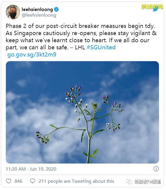 新加坡解封的第十二天,社區病例回升| 專家:仍需保持警惕