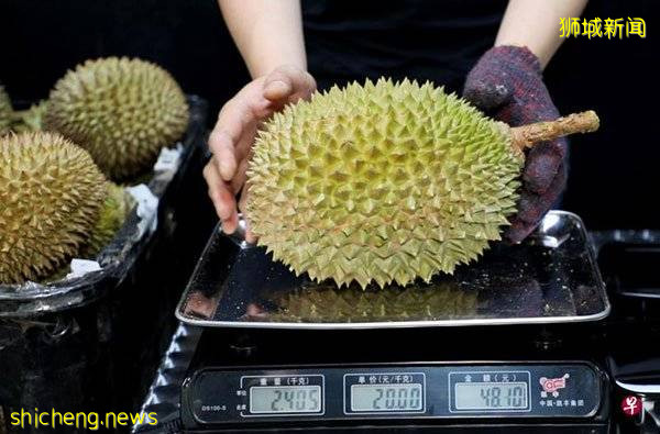 了“水鱼”? 带壳榴梿 VS 盒装榴梿 哪个划算