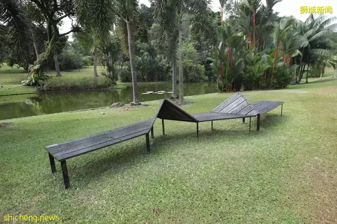 開搶!新加坡總統府免費開放,每人有5張票!附遊園攻略