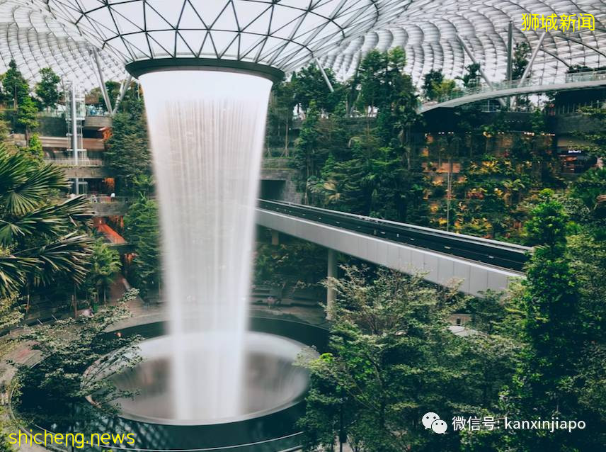 13歲女兒獨自從新加坡飛中國，超詳細攻略來了