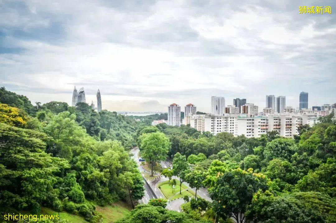 新加坡公司年审及常见问题解答