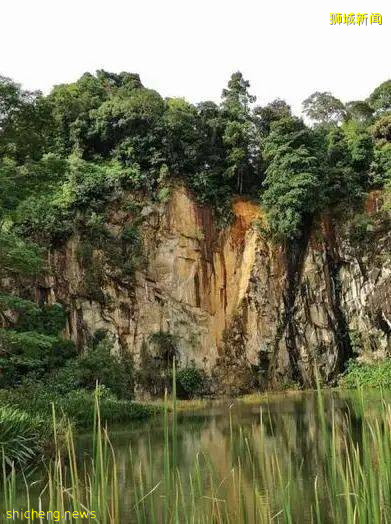 新加坡景區岩石崩落嚇壞在場公衆!還有哪些自然景區可以去?快來打卡