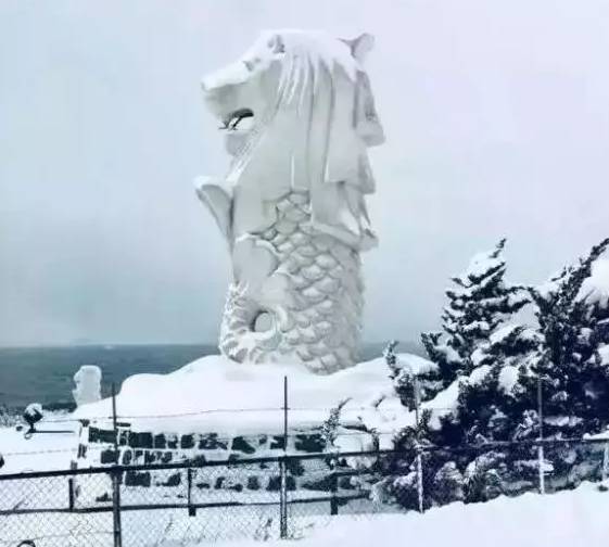 新加坡“最濕日”來襲，全島滿滿的“濕”意？