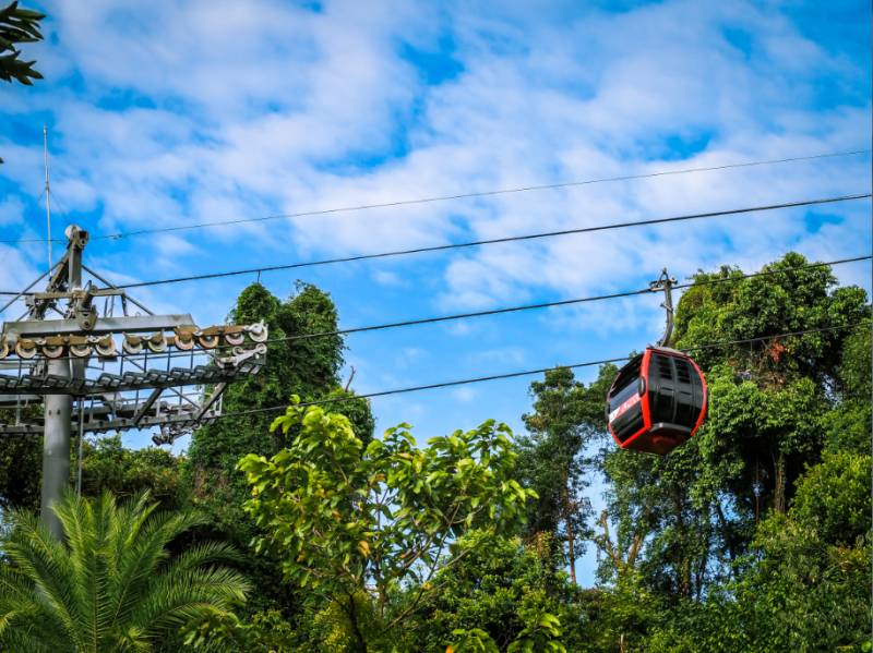 每一張都是 Ins 大片！這樣的新加坡你見過嗎