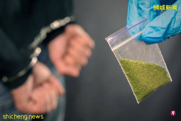 女傭幫男友販毒 愛巢搜出大麻 判監25年