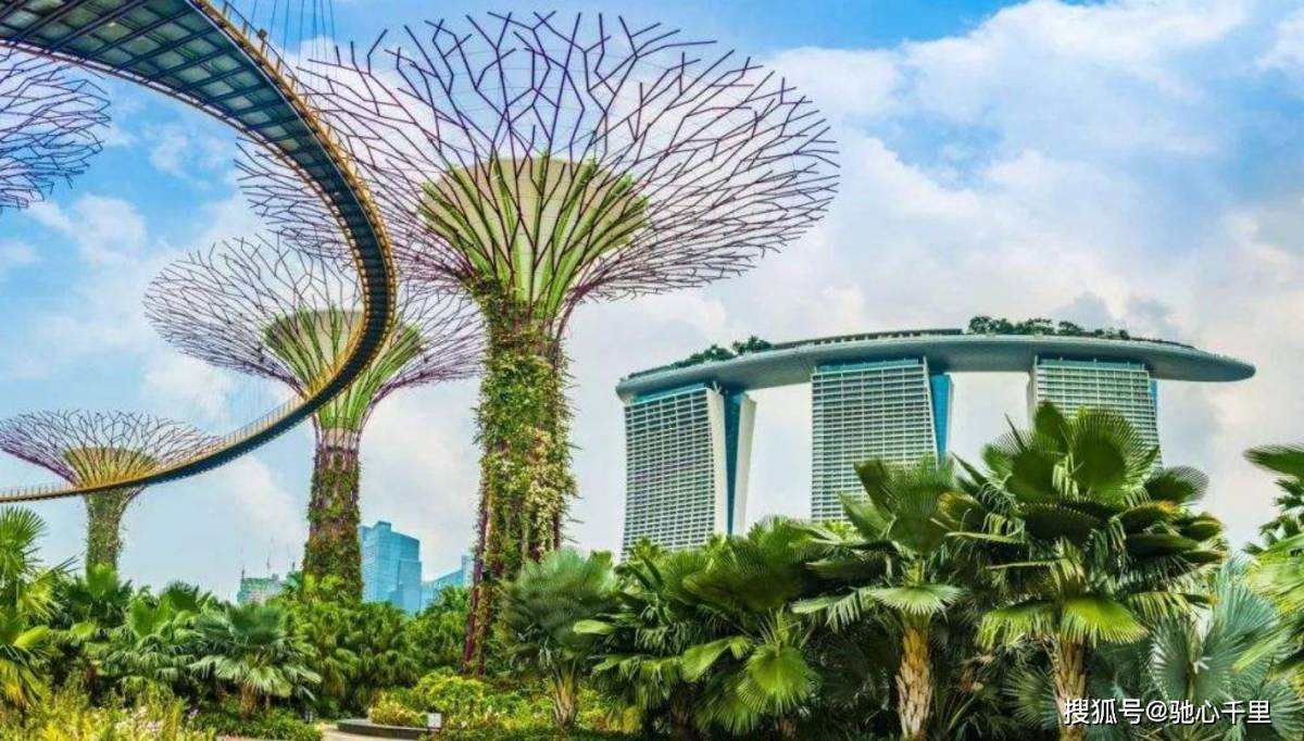 HL新加坡護照、新加坡永居、新加坡創業自雇移民EP項目說明！快速辦理