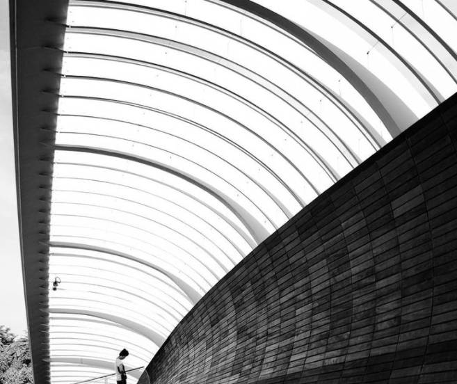 玩在獅城 坡島隱藏IG拍照打卡點推薦