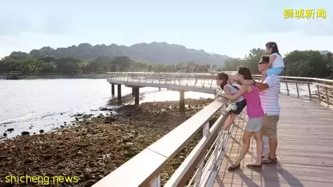 新加坡又要建4个新公园啦,骑车、徒步、观鸟又有新去处了