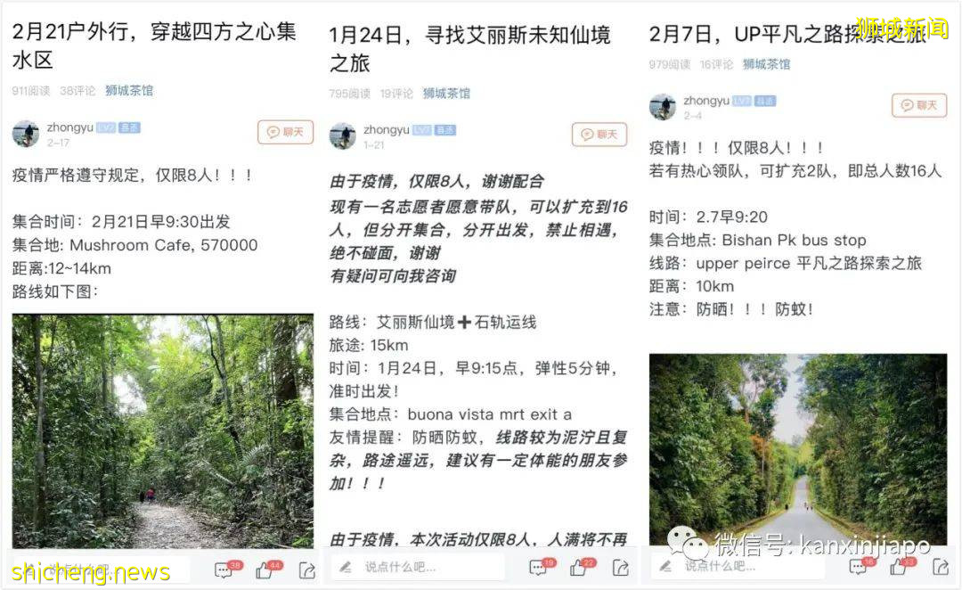 初来乍到遇上疫情,在新加坡当程序员是怎样的感觉