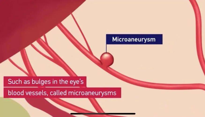 NTU、MIT与布朗大学三校合作