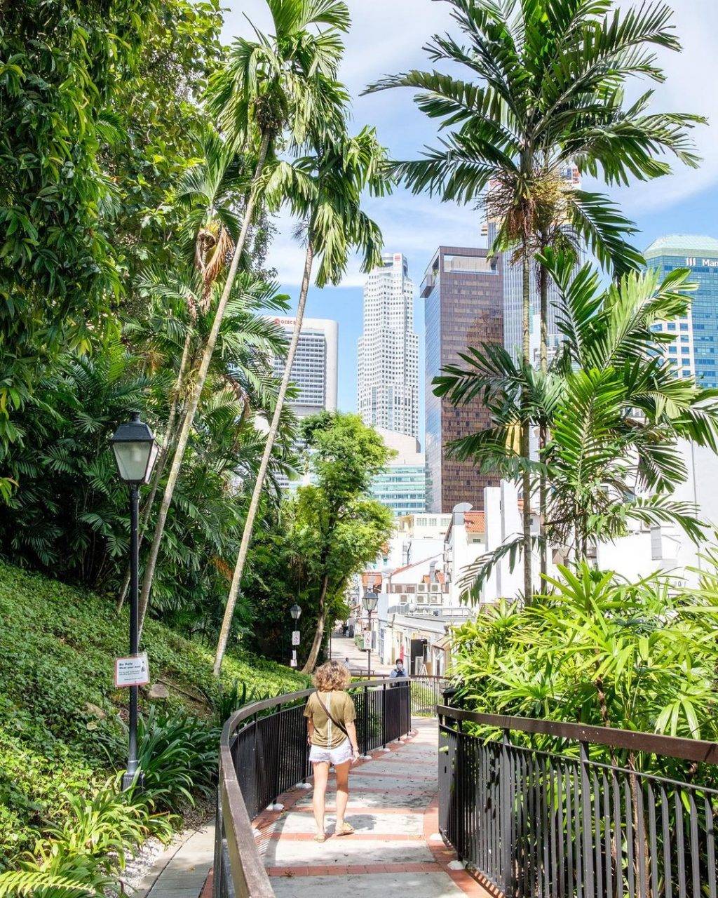 新加坡漫游地图！手把手带你玩转Ang Siang Hill🗺 最有情调的山丘，吃喝玩乐大合集