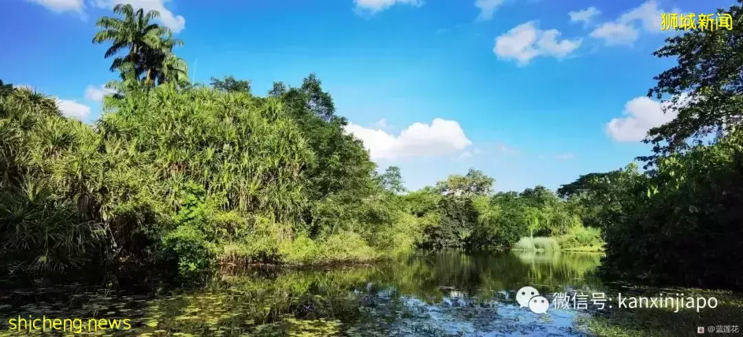 快来免费打卡新加坡这个世界文化遗产