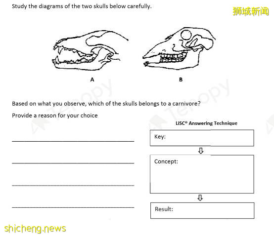複課要考試了?不怕!新加坡前主考官研發答題秘籍、提成績考高分!