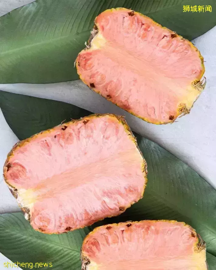 世界首款粉色菠蘿！顔值超高😍快去Cold Storage買