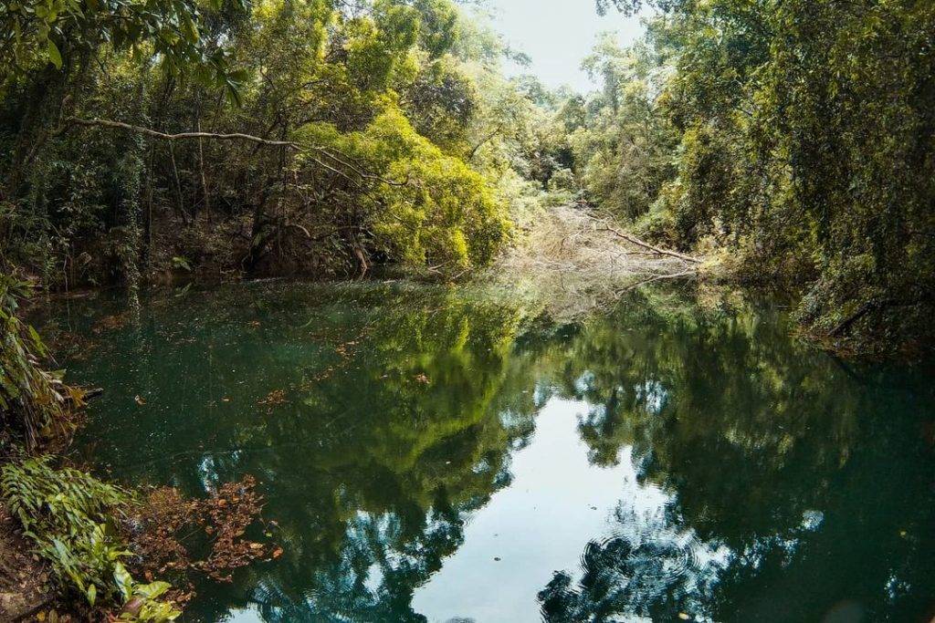 秘密景区!新加坡8座遗忘的角落🌂 徒步旅行好去处!消失的水库、战争遗物、遗弃古迹