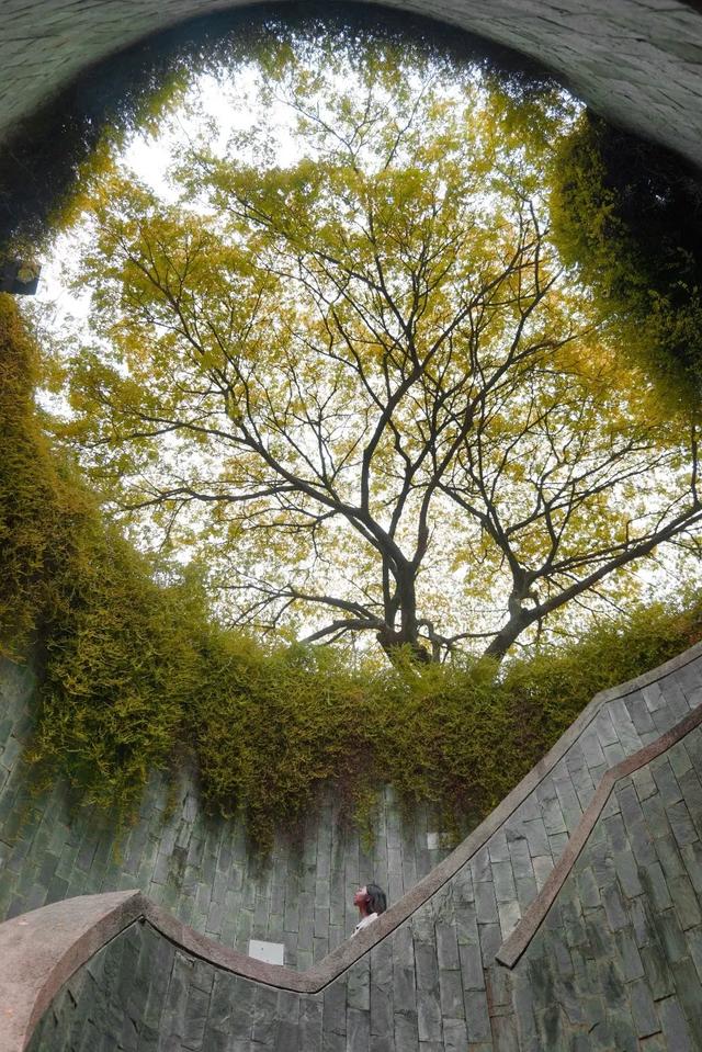 新加坡旅行|6天5晚奇遇狮城的日与夜