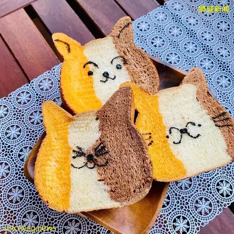 可愛到爆炸的貓咪面包“Cai Mama Shop”😽天然健康的手工吐司，小批量制作，要買要快🛒