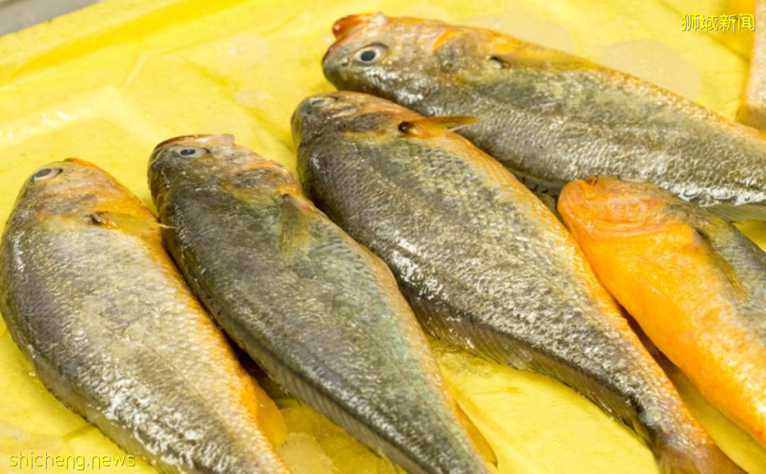 因疫情裕廊渔港关闭两周,但超市供货不受影响