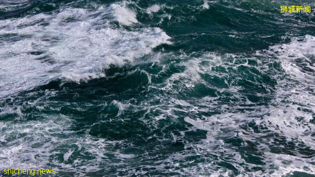 可怕!新加坡东海岸惊现女浮尸,渔民慌忙报警